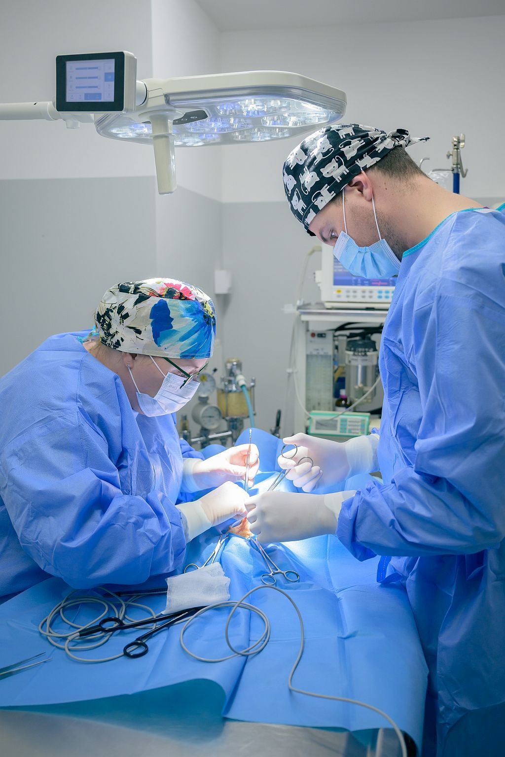 Onkologia weterynaryjna Łódź