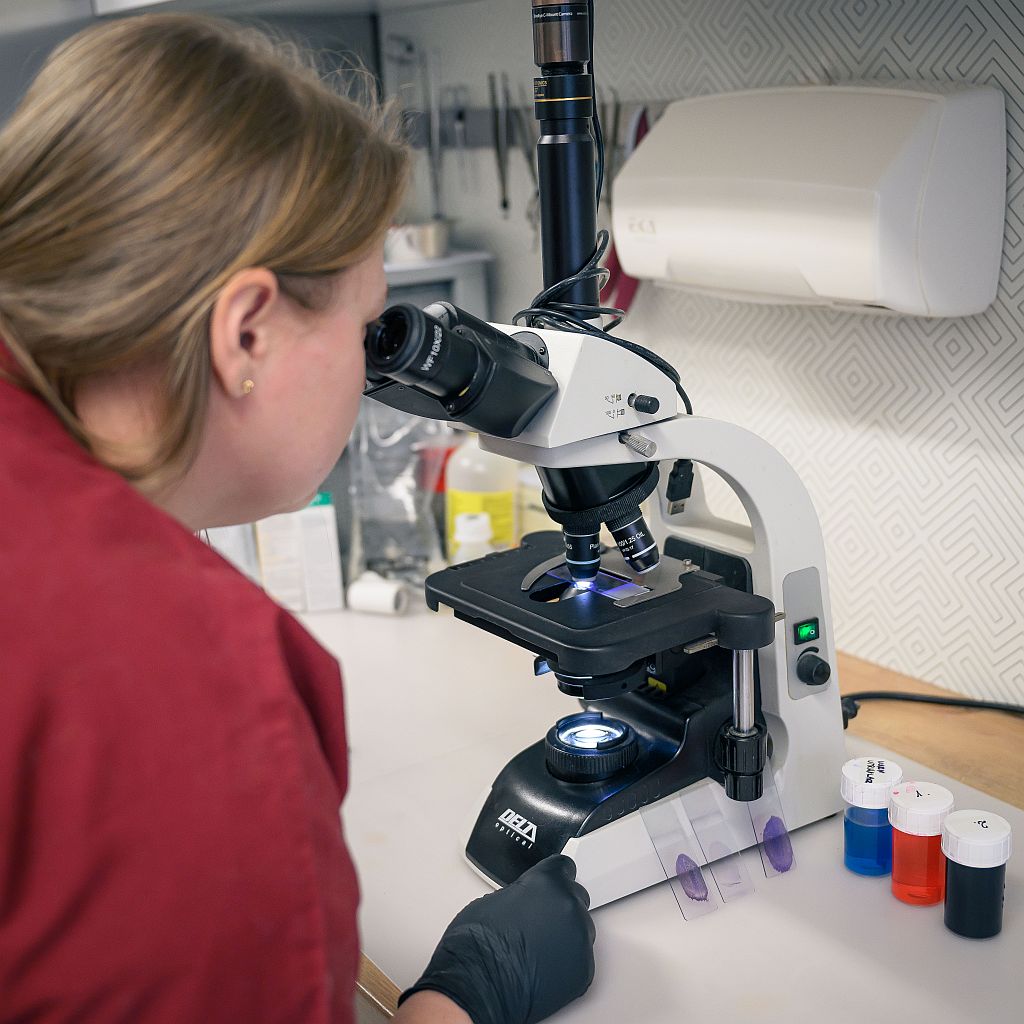 Laboratorium weterynaryjne Łódź